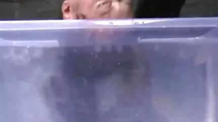 Deze niet nieuwste sexfilm hebzuchtige jonge man deelde een meisje met een vriend